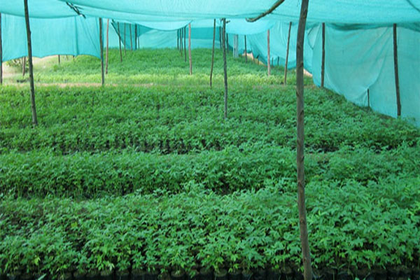 Shade nets in Pune